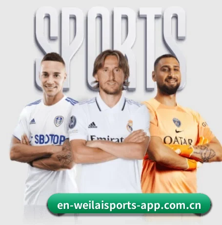 从比分速递到赛后复盘的完整链路(WL SPORTS)
