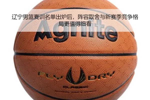 img_1781186205224_60_2_411.jpg